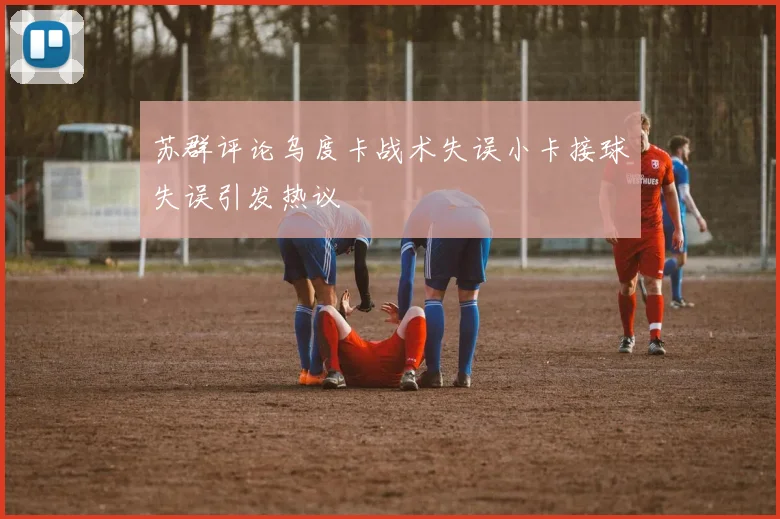 苏群评论乌度卡战术失误小卡接球失误引发热议