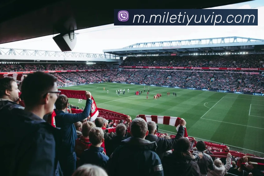 米乐体育平台生态图