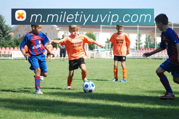 米乐体育APP 封面图